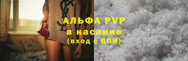 СК Алексин