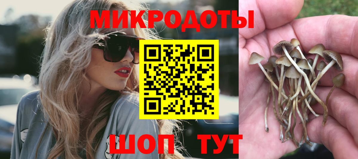Омск  Галлюциногенные грибы Psilocybine cubensis  Галлюциногенные грибы MAGIC MUSHROOMS  продажа наркотиков  Вход с VPN 